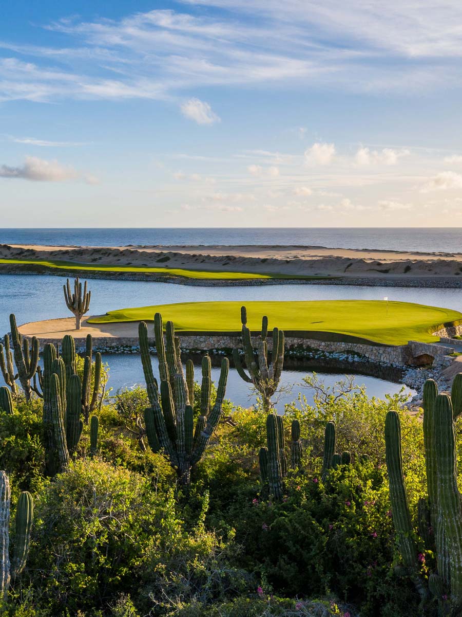 Best Golf Courses In Cabo San Lucas (2025)