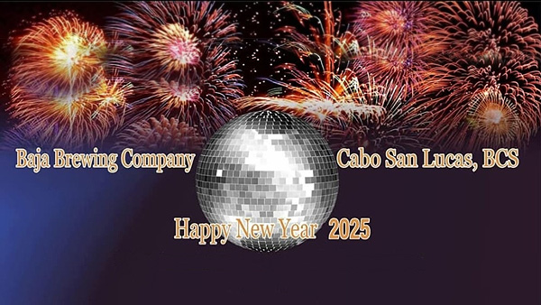 company cabo party poster